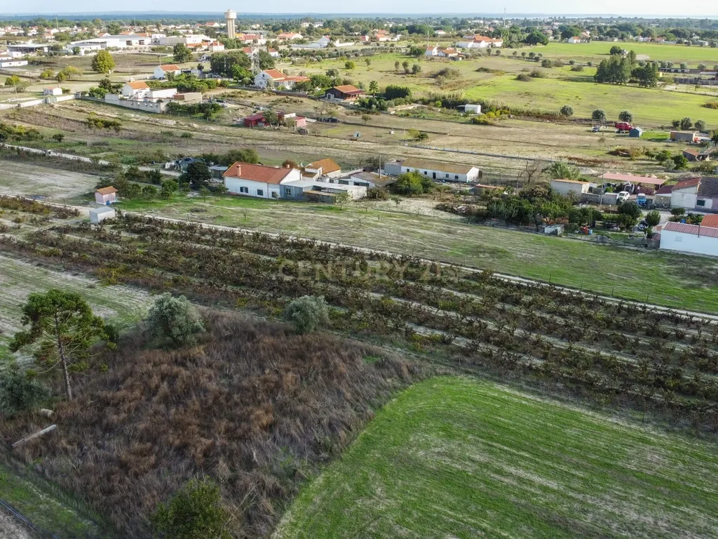 Terreno Misto de 7.500m² com Possibilidade de Construção de MORADIA, Cajados, Palmela - Image 19