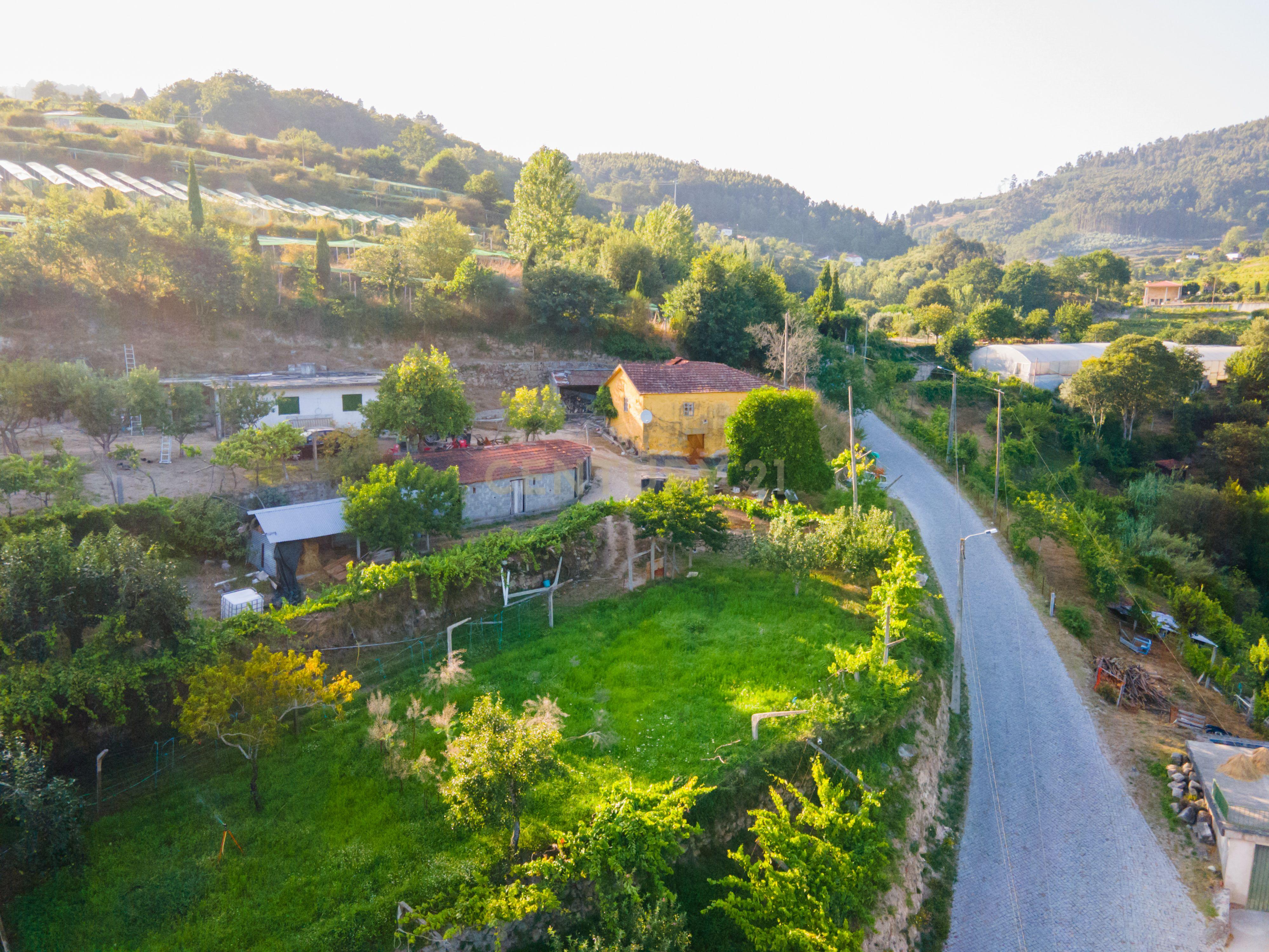 QUINTA DA CEPA - Image 10