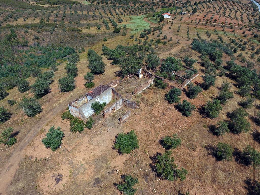 Terreno de 22ha com Ruína de 250m² em Alqueva – Oportunidade no Alentejo - Image 3