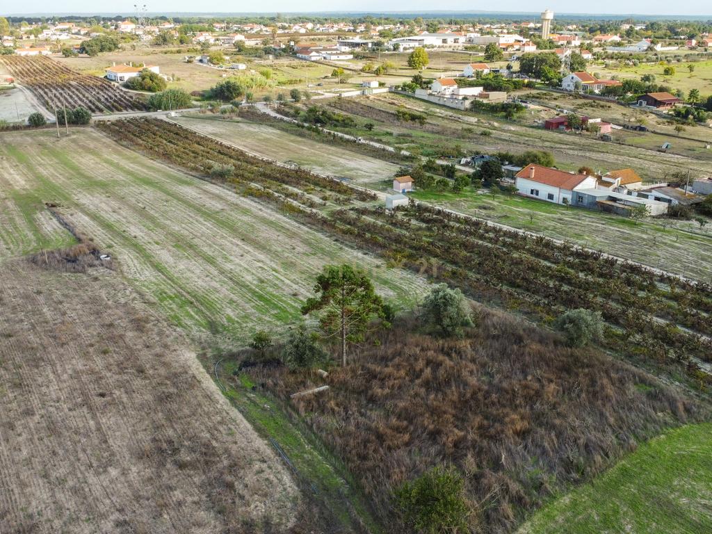 Terreno Misto de 7.500m² com Possibilidade de Construção de MORADIA, Cajados, Palmela - Image 21