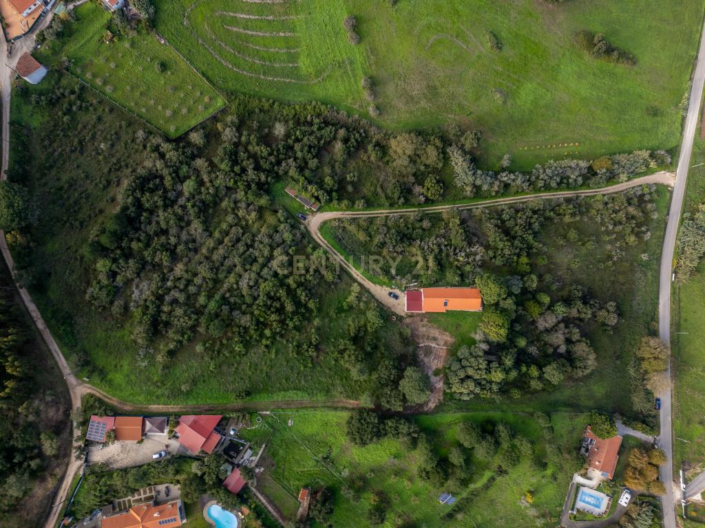 Viva a Vida que Sempre Sonhou no Gradil -Tranquilidade e Conforto a 40min de Lisboa (Terreno 27937m2) - Image 47