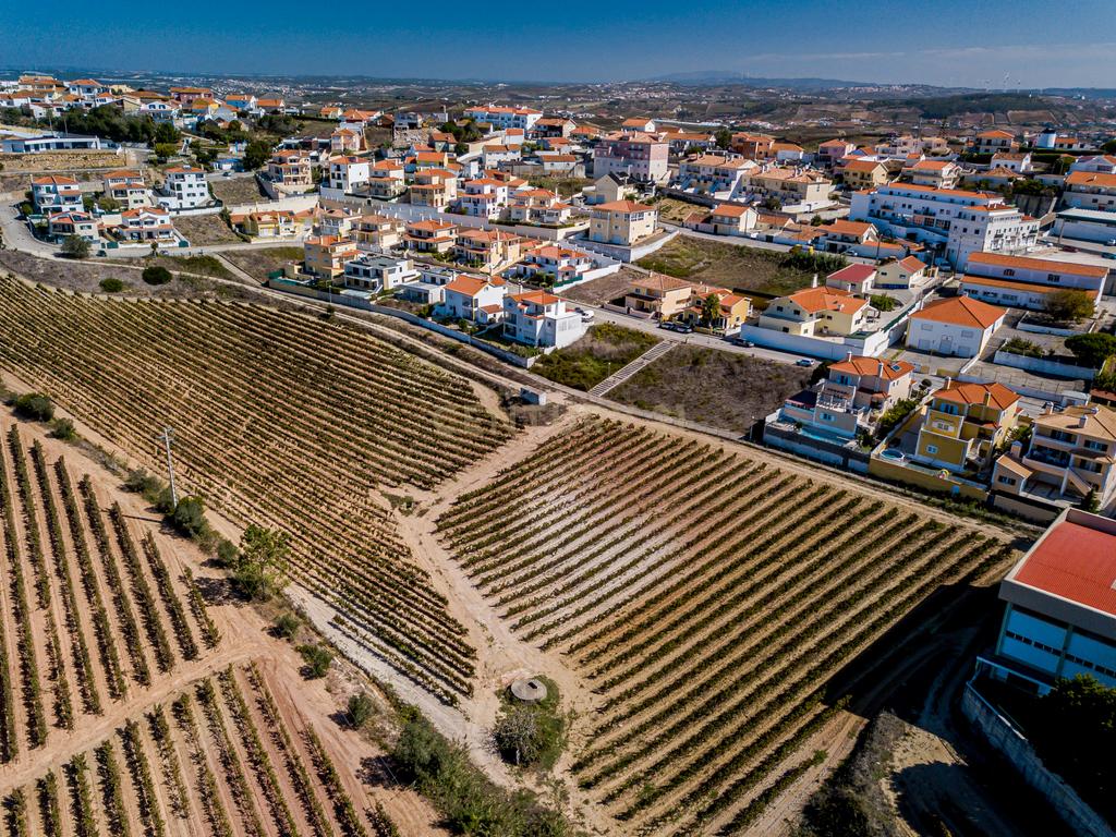 LOTE 481m2 C/ PROJECTO APROVADO PARA MORADIA ISOLADA UNIFAMILIAR COM PISCINA E JARDIM - Image 2