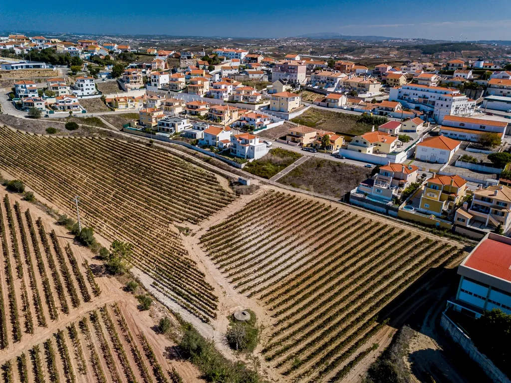 LOTE 481m2 C/ PROJECTO APROVADO PARA MORADIA ISOLADA UNIFAMILIAR COM PISCINA E JARDIM - Image 2