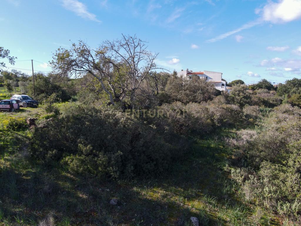 Terreno Misto com ruína nas Fontainhas, Albufeira - Image 17