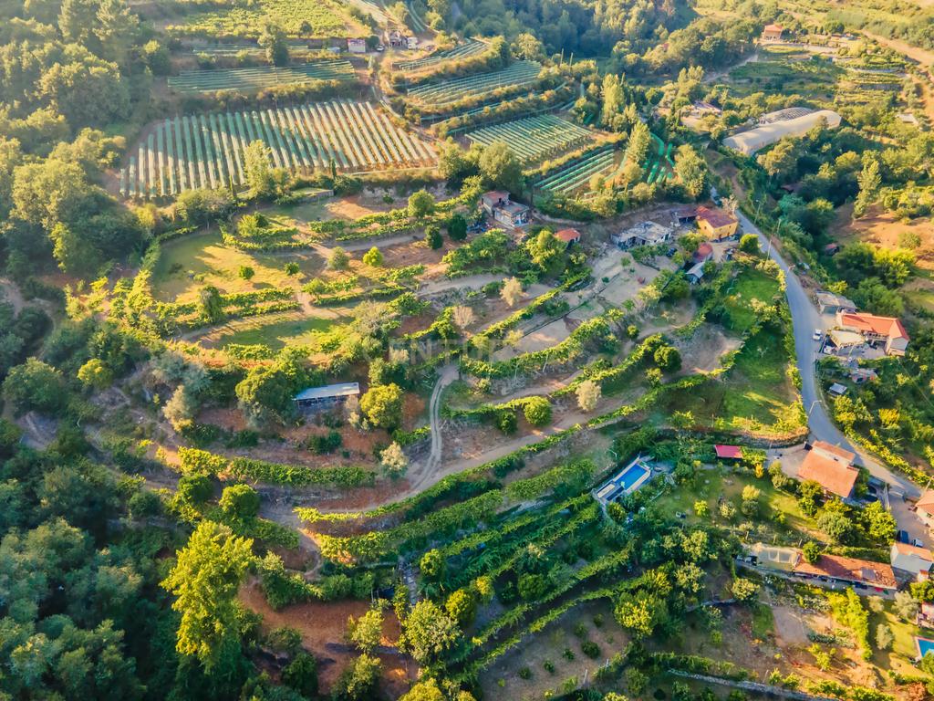 Quinta da Cepa - Image 13