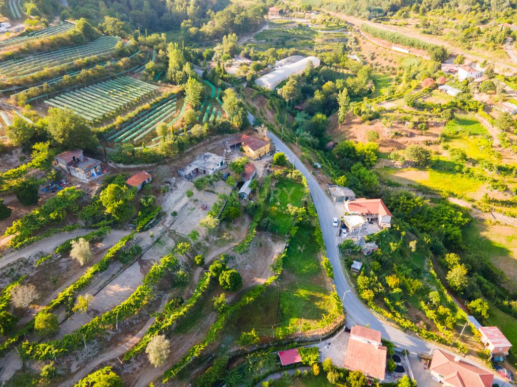 Quinta da Cepa - Image 11