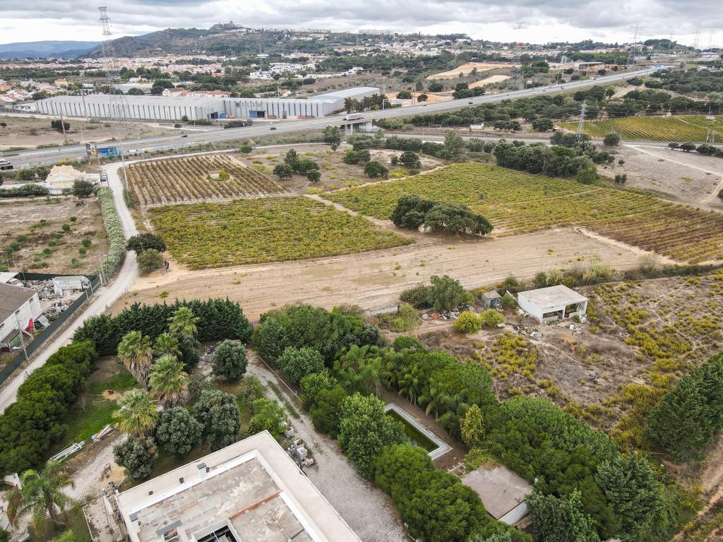 Lote Terreno em Palmela, 4780m2, viabilidade 120m2 - Image 6