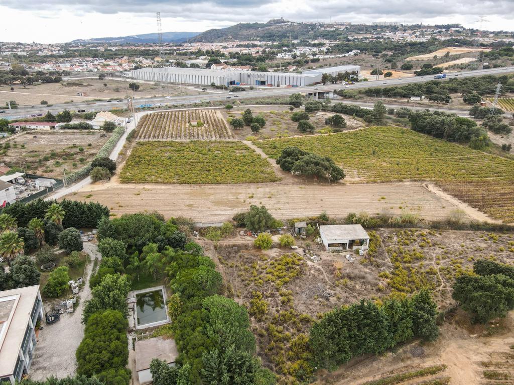 Lote Terreno em Palmela, 4780m2, viabilidade 120m2 - Image 14