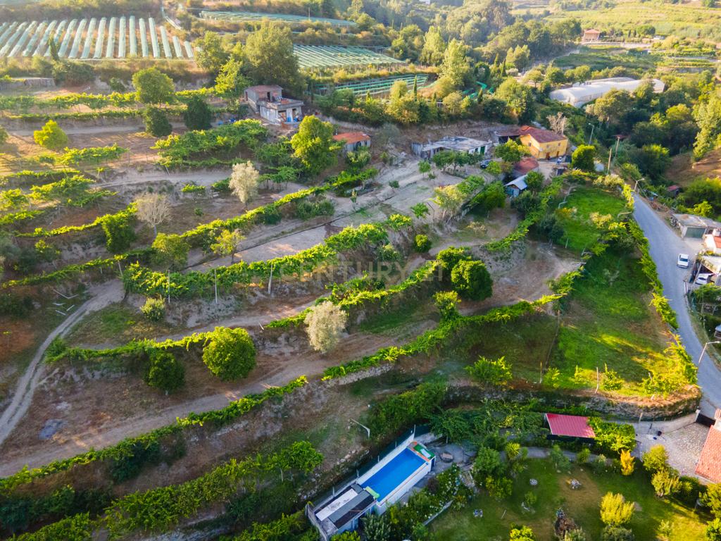 Quinta da Cepa - Image 16