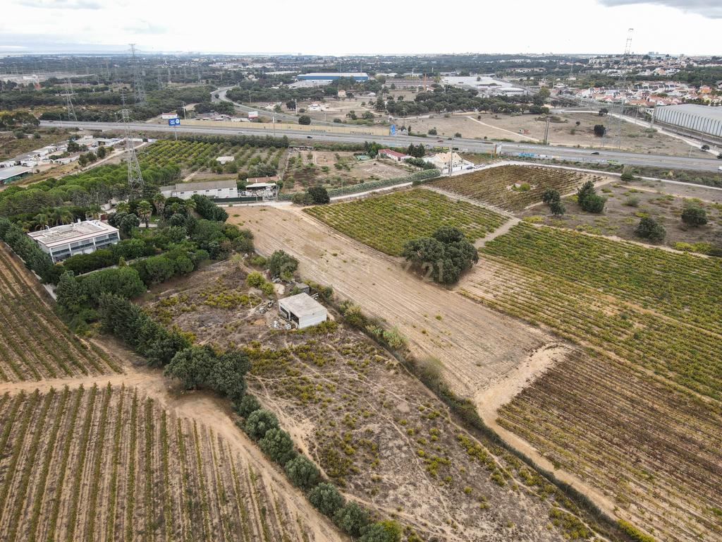Lote Terreno em Palmela, 4780m2, viabilidade 120m2 - Image 4