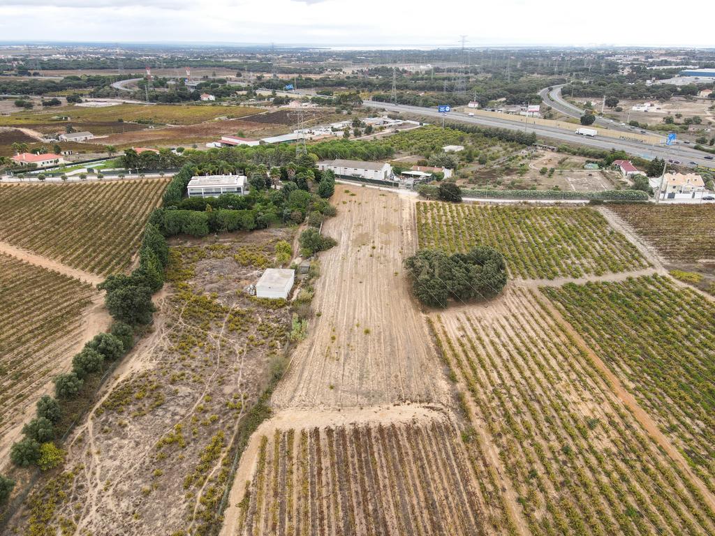 Lote Terreno em Palmela, 4780m2, viabilidade 120m2 - Image 11