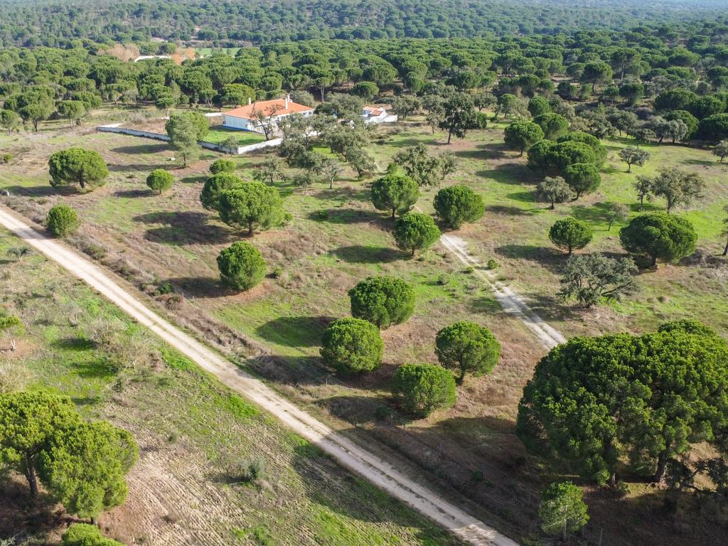 Moradia T4 em Herdade de 9,5 ha - Image 53