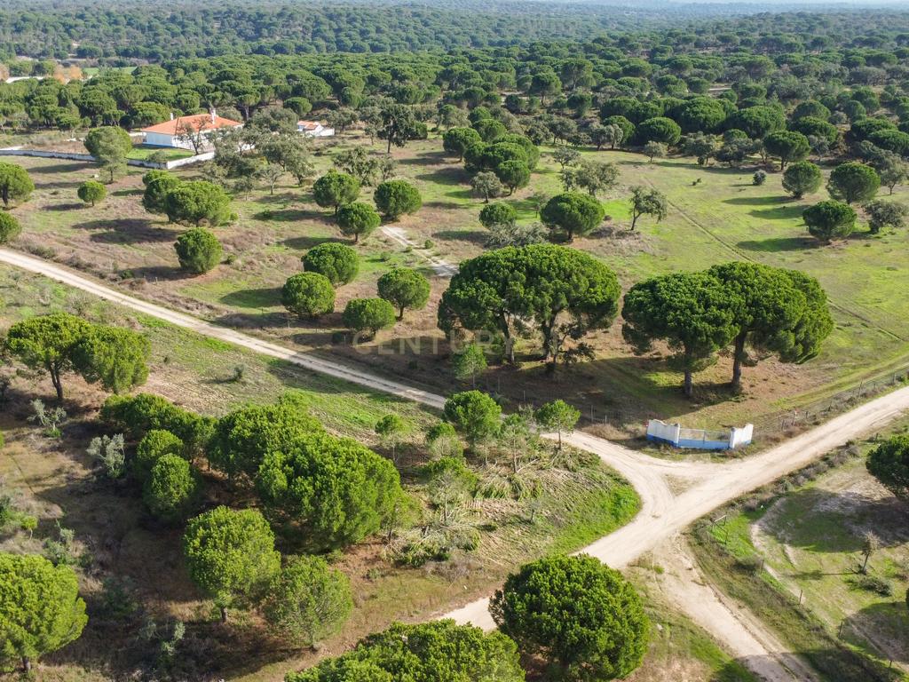 Moradia T4 em Herdade de 9,5 ha - Image 58