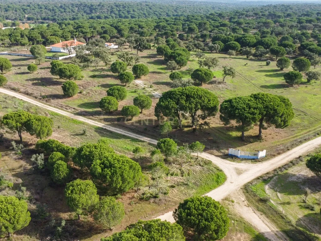 Moradia T4 em Herdade de 9,5 ha - Image 58