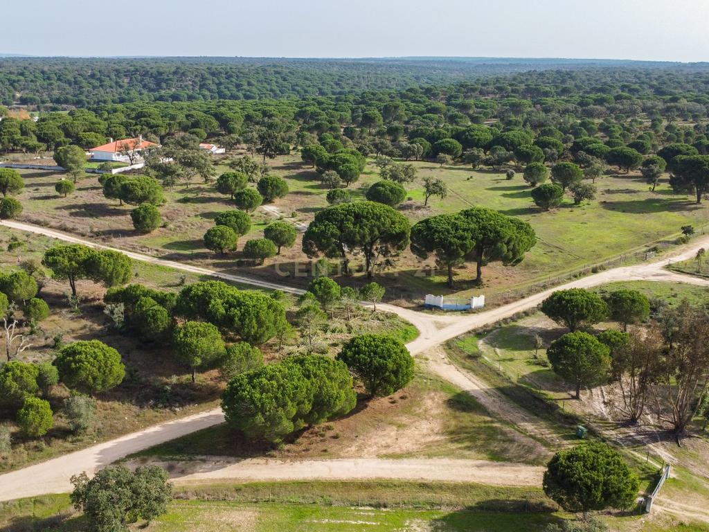 Moradia T4 em Herdade de 9,5 ha - Image 54