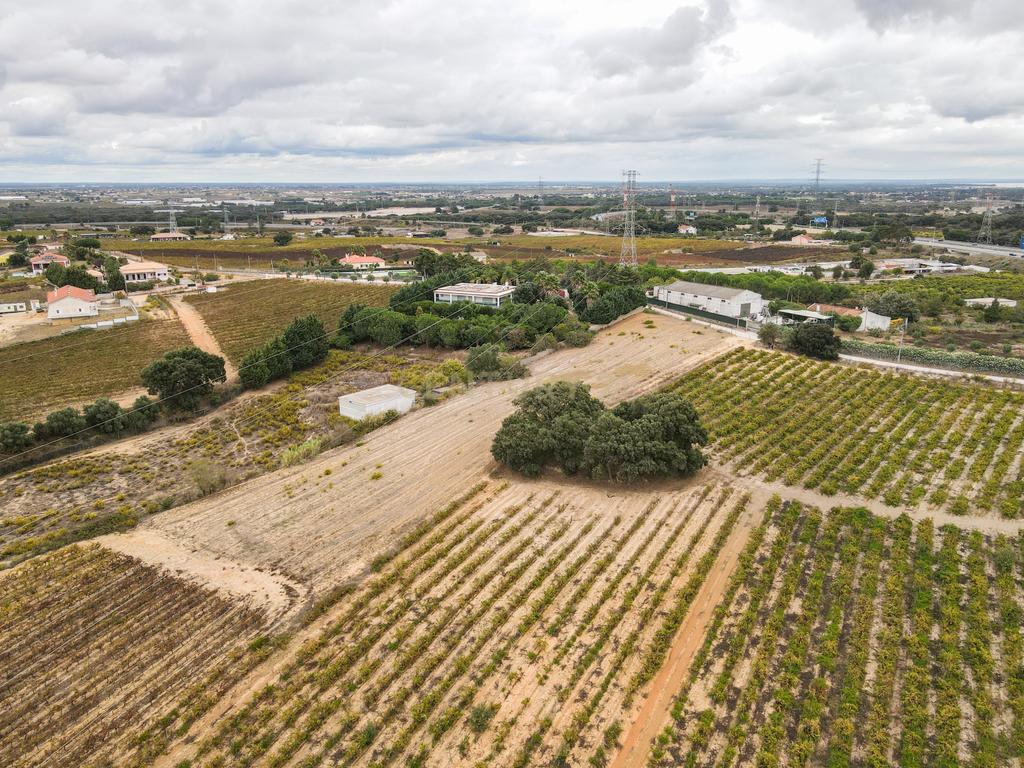 Lote Terreno em Palmela, 4780m2, viabilidade 120m2 - Image 1