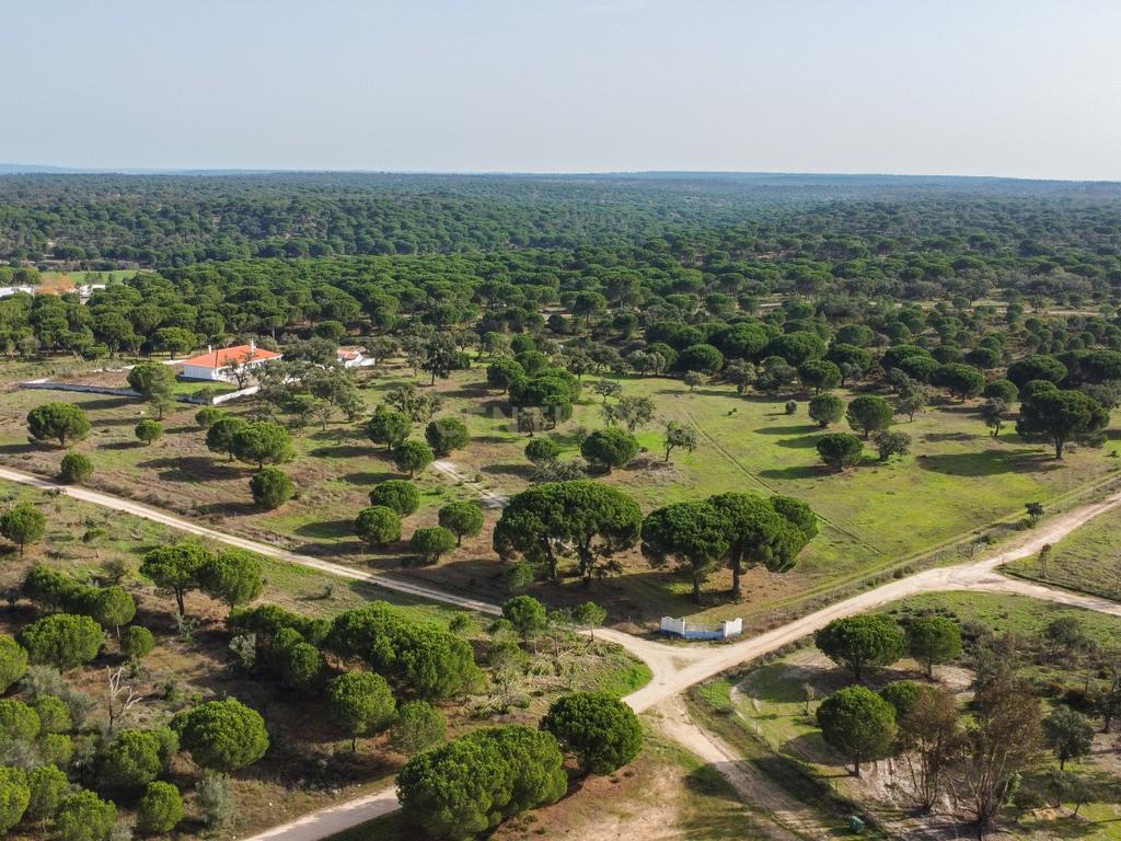 Moradia T4 em Herdade de 9,5 ha - Image 57
