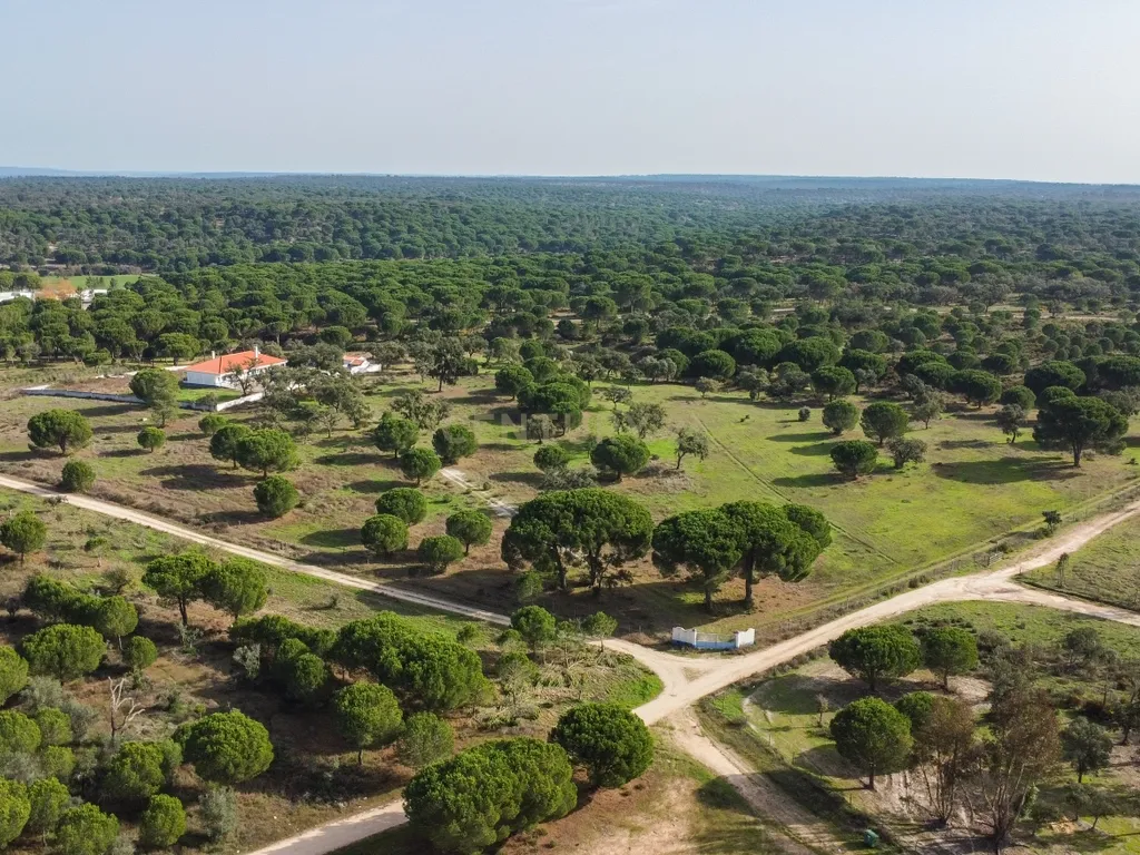 Moradia T4 em Herdade de 9,5 ha - Image 57