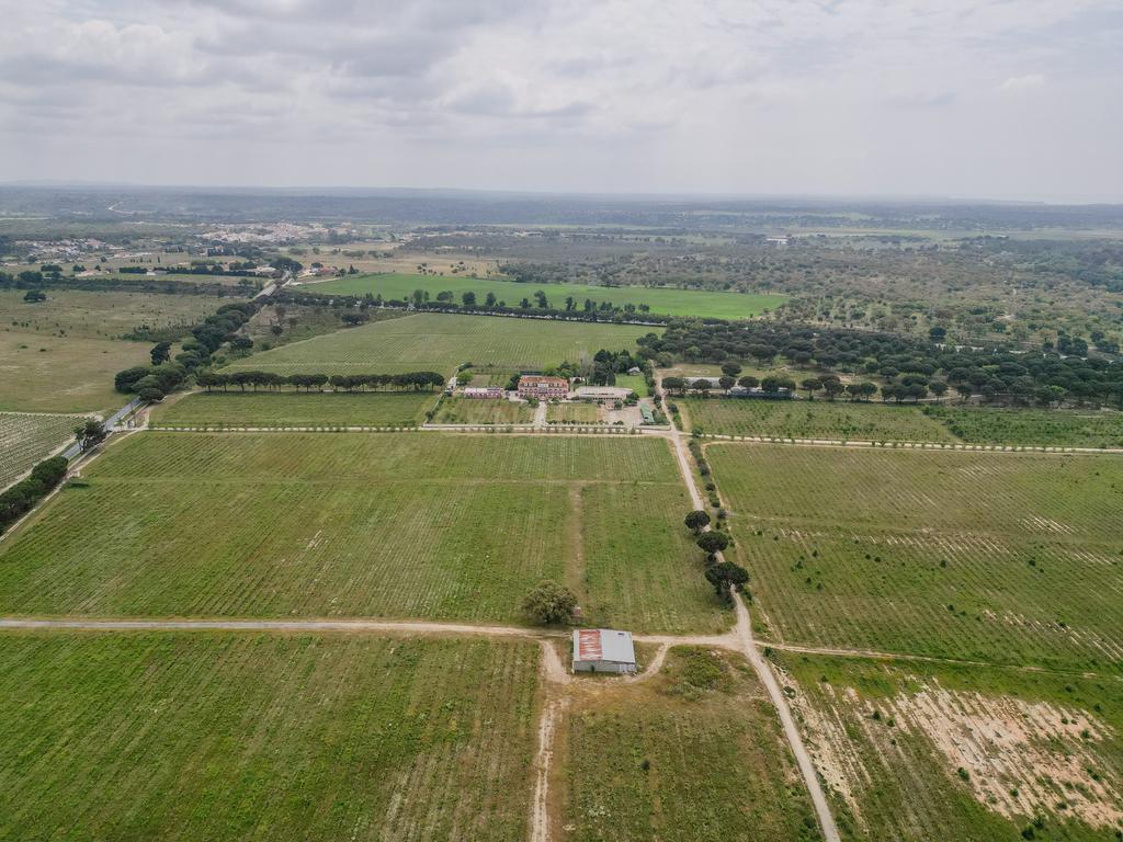 Herdade Dos Mascarenhas com 102 hectares em Palmela - Image 52