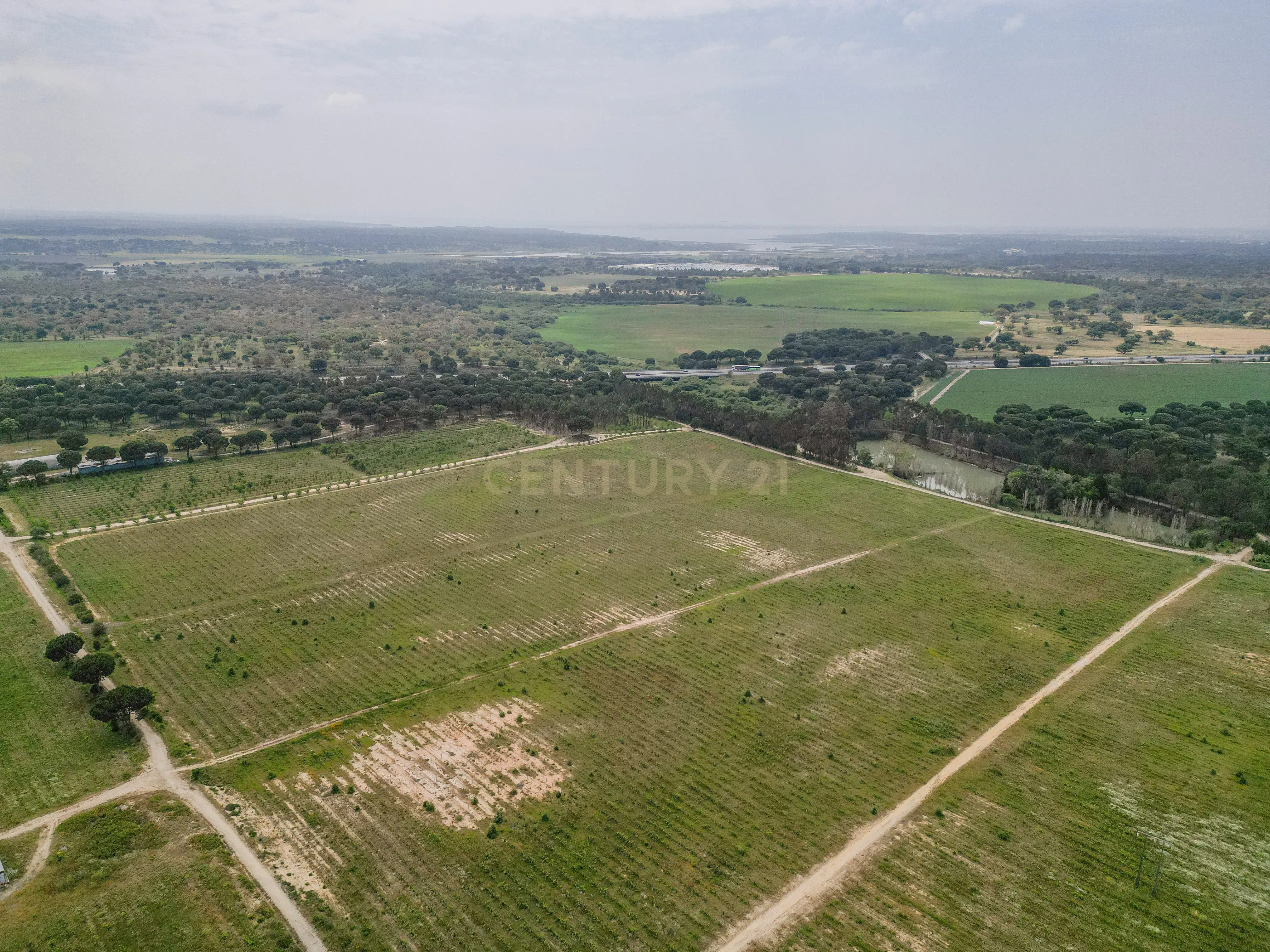 Herdade Dos Mascarenhas com 102 hectares em Palmela - Image 53