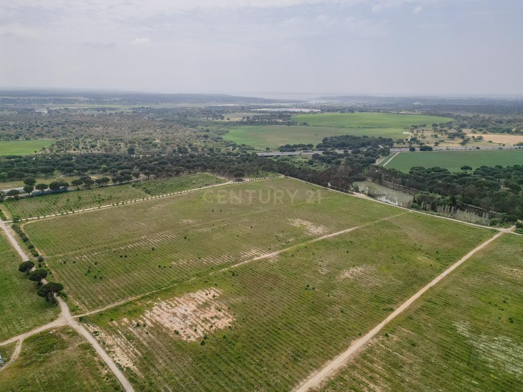 Herdade Dos Mascarenhas com 102 hectares em Palmela - Image 53