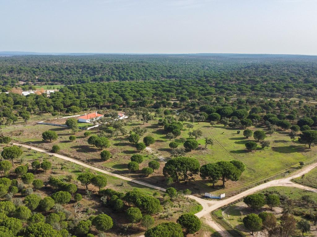 Moradia T4 em Herdade de 9,5 ha - Image 59