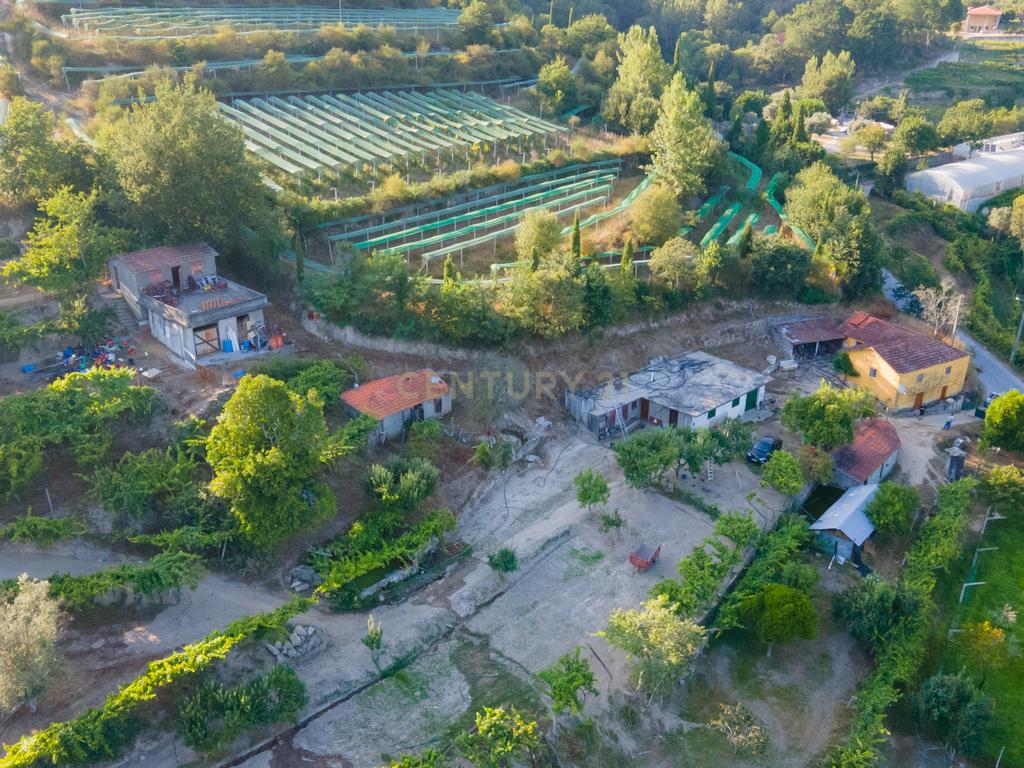 Quinta da Cepa - Image 12