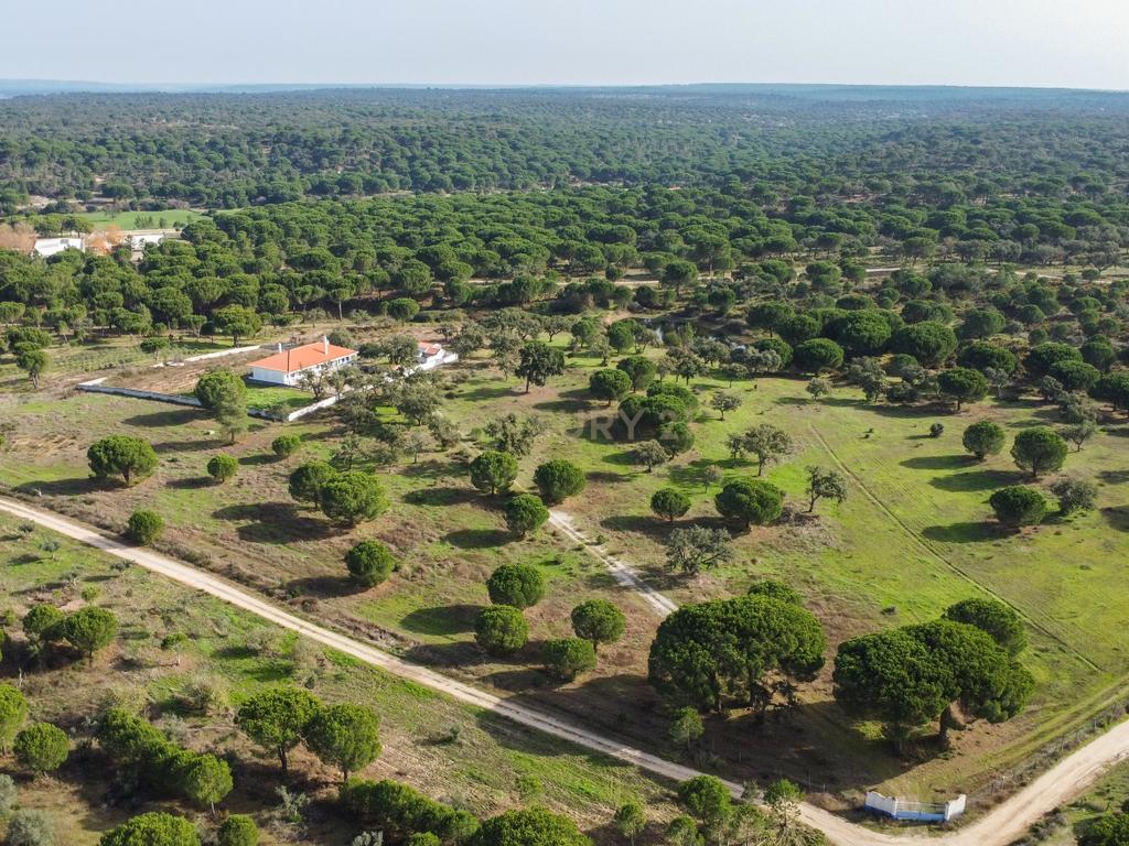 Moradia T4 em Herdade de 9,5 ha - Image 55
