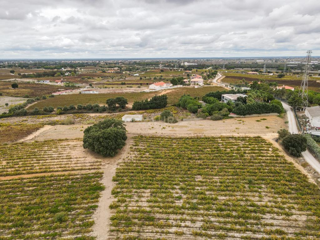 Lote Terreno em Palmela, 4780m2, viabilidade 120m2 - Image 5