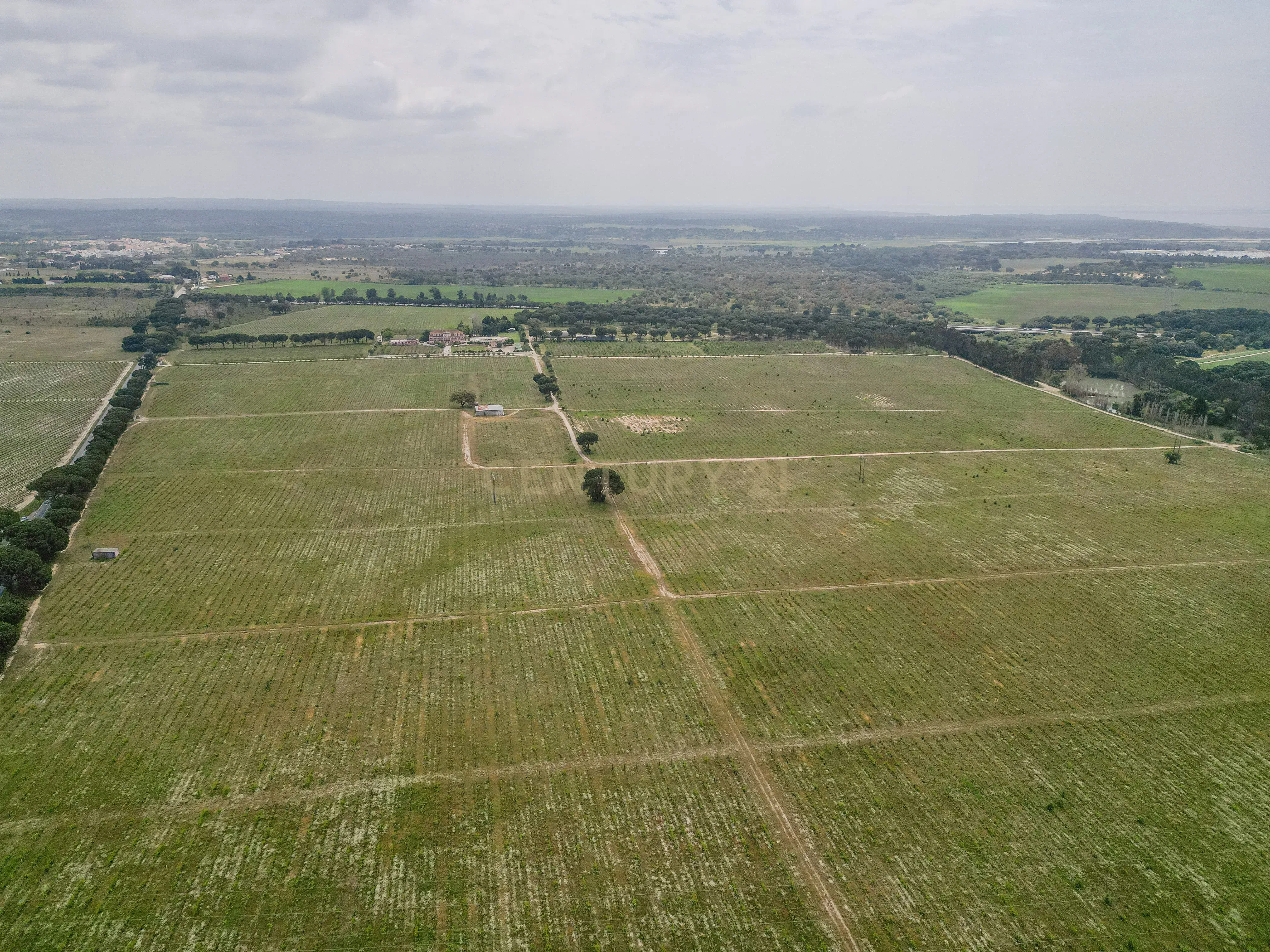 Herdade Dos Mascarenhas com 102 hectares em Palmela - Image 57