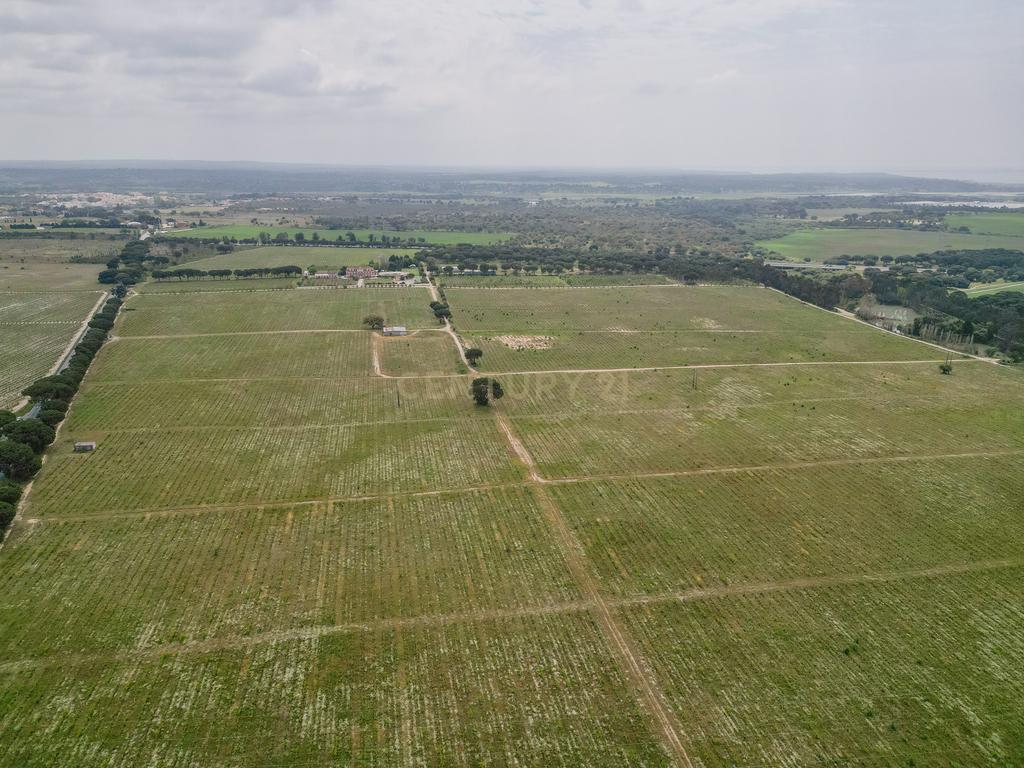 Herdade Dos Mascarenhas com 102 hectares em Palmela - Image 57