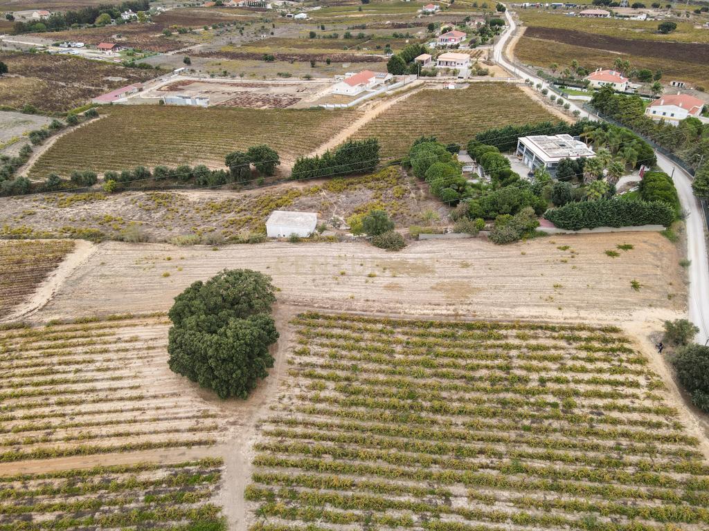Lote Terreno em Palmela, 4780m2, viabilidade 120m2 - Image 7