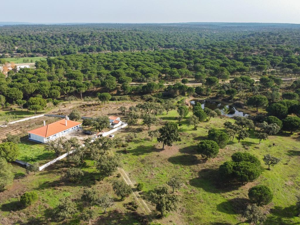 Moradia T4 em Herdade de 9,5 ha - Image 56