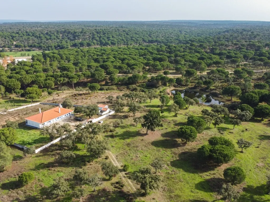 Moradia T4 em Herdade de 9,5 ha - Image 56