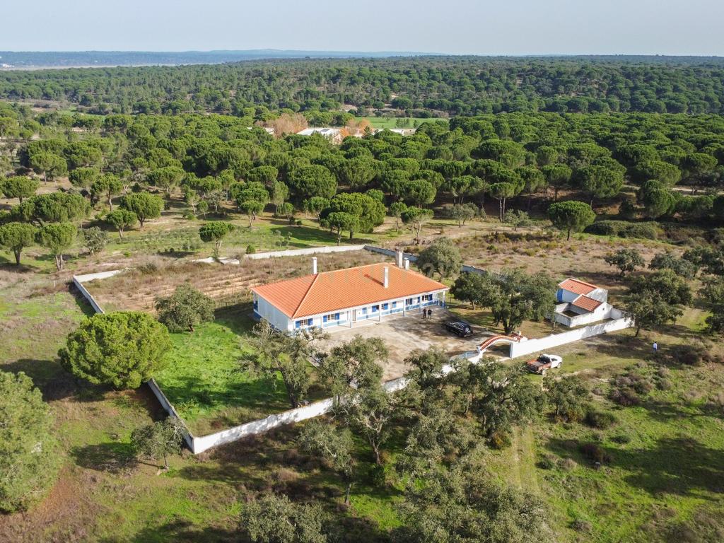 Moradia T4 em Herdade de 9,5 ha - Image 67