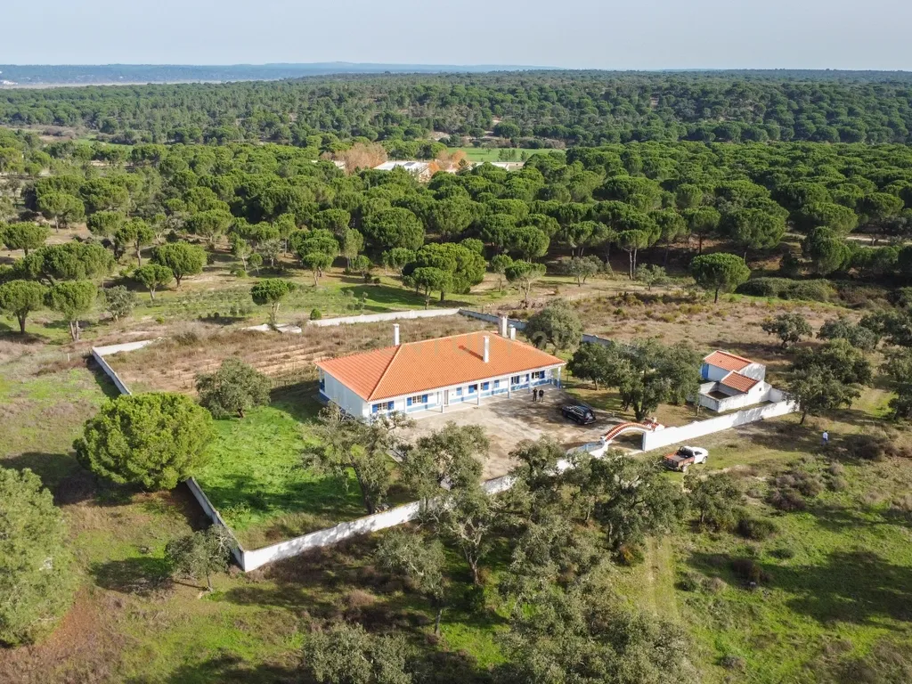 Moradia T4 em Herdade de 9,5 ha - Image 67