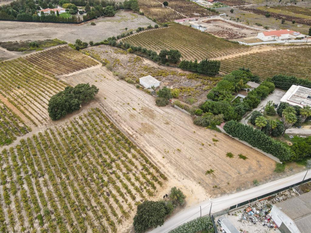 Lote Terreno em Palmela, 4780m2, viabilidade 120m2 - Image 2
