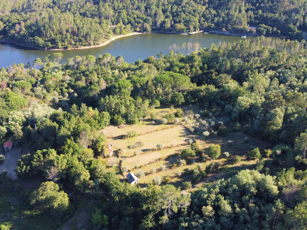 Quintinha próxima da Barragem de Fagilde, Rio Dão - Image 2