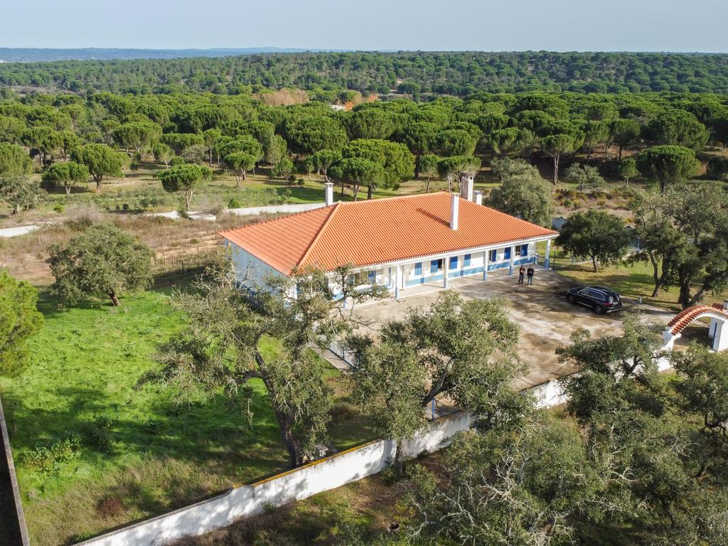 Moradia T4 em Herdade de 9,5 ha - Image 61