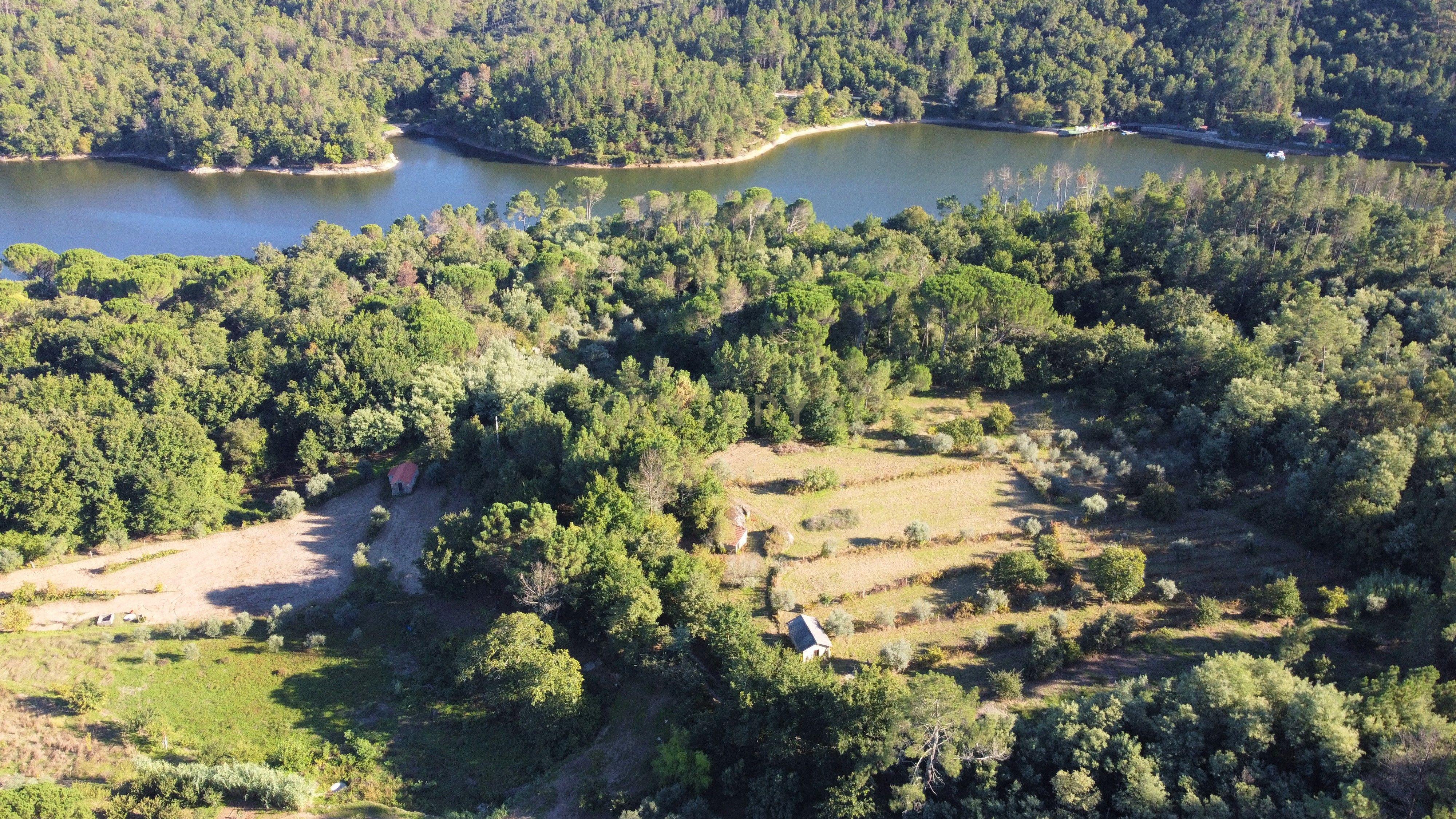 Quintinha próxima da Barragem de Fagilde, Rio Dão - Image 17