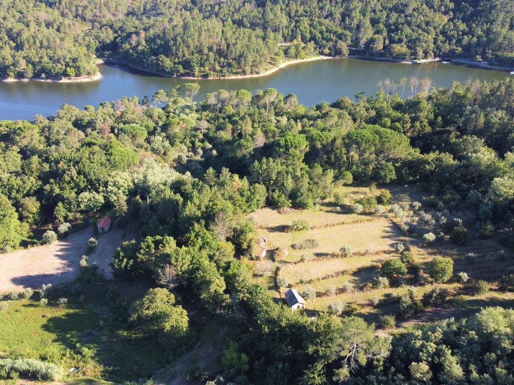 Quintinha próxima da Barragem de Fagilde, Rio Dão - Image 17