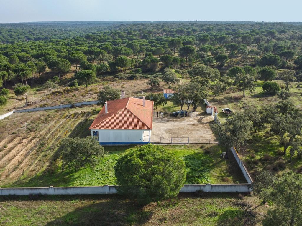 Moradia T4 em Herdade de 9,5 ha - Image 63