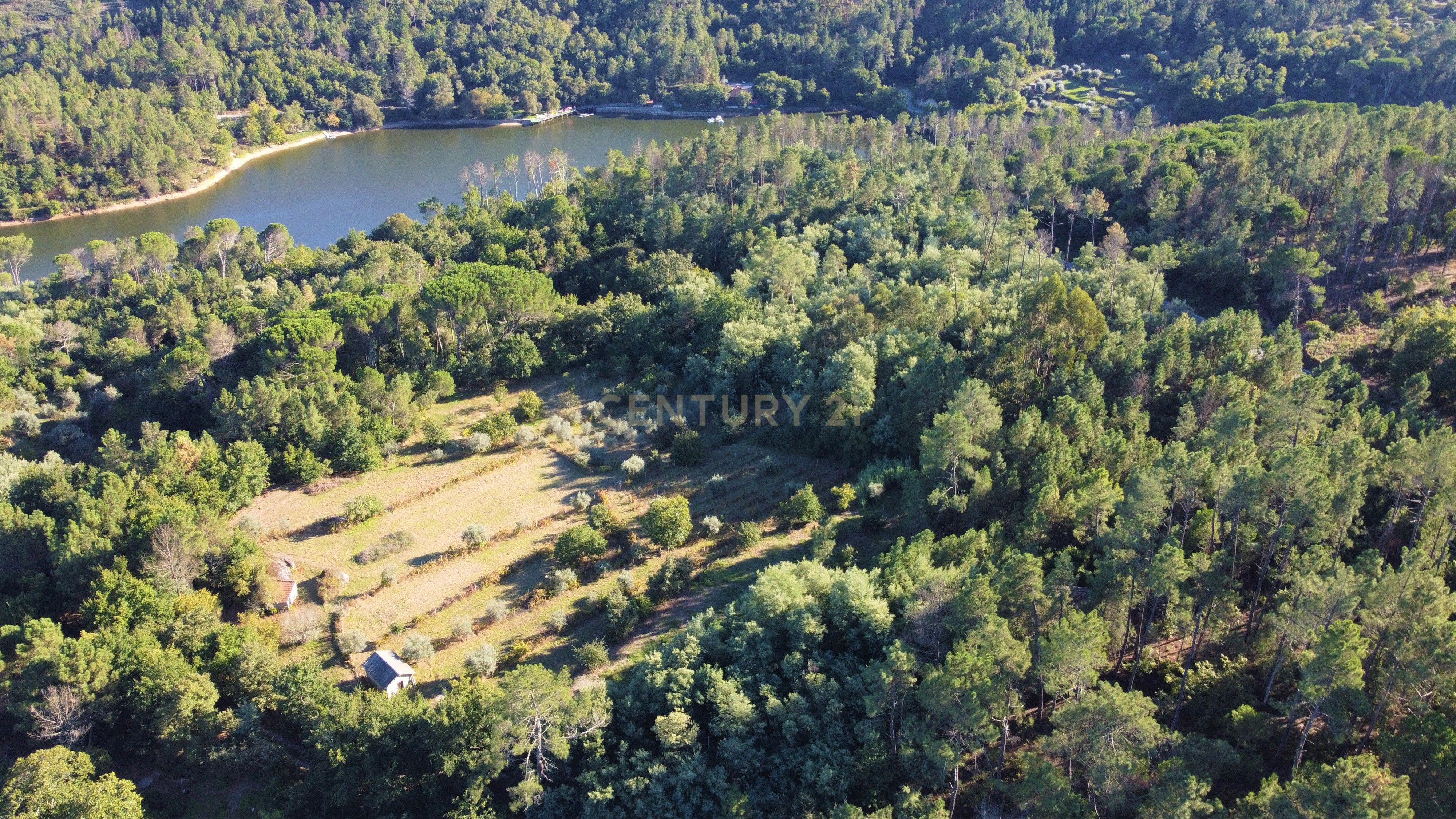 Quintinha próxima da Barragem de Fagilde, Rio Dão - Image 8