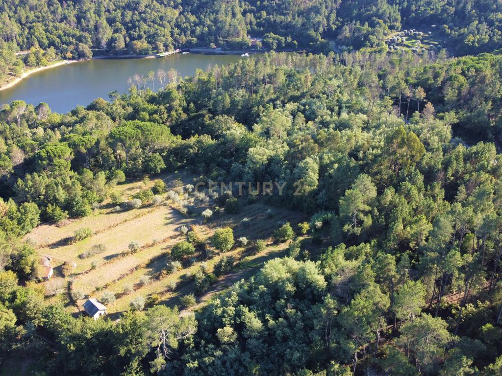 Quintinha próxima da Barragem de Fagilde, Rio Dão - Image 8