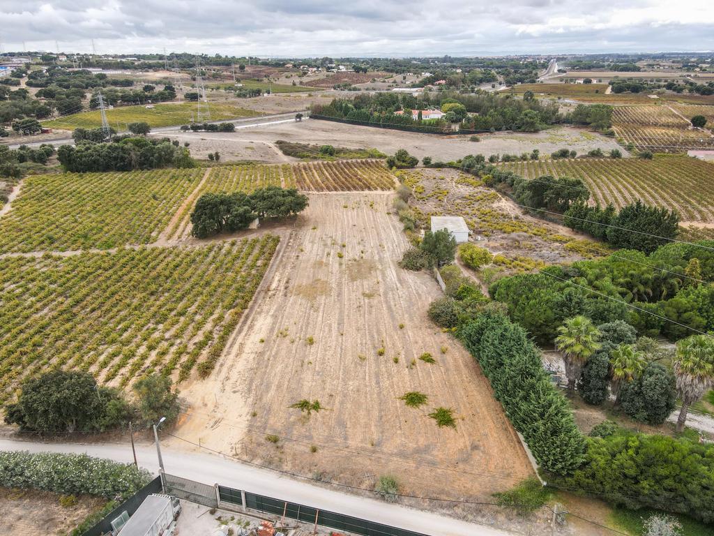 Lote Terreno em Palmela, 4780m2, viabilidade 120m2 - Image 10
