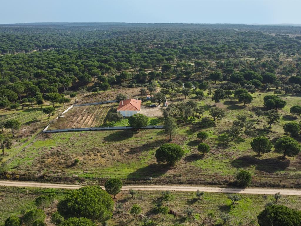 Moradia T4 em Herdade de 9,5 ha - Image 62