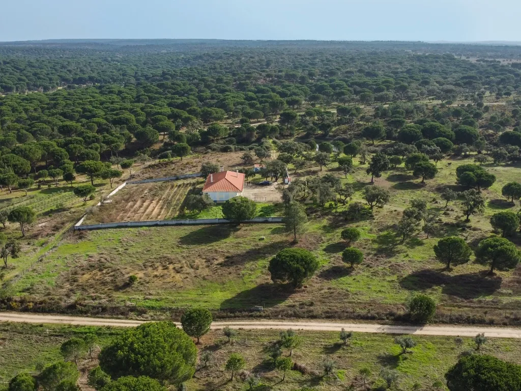 Moradia T4 em Herdade de 9,5 ha - Image 62