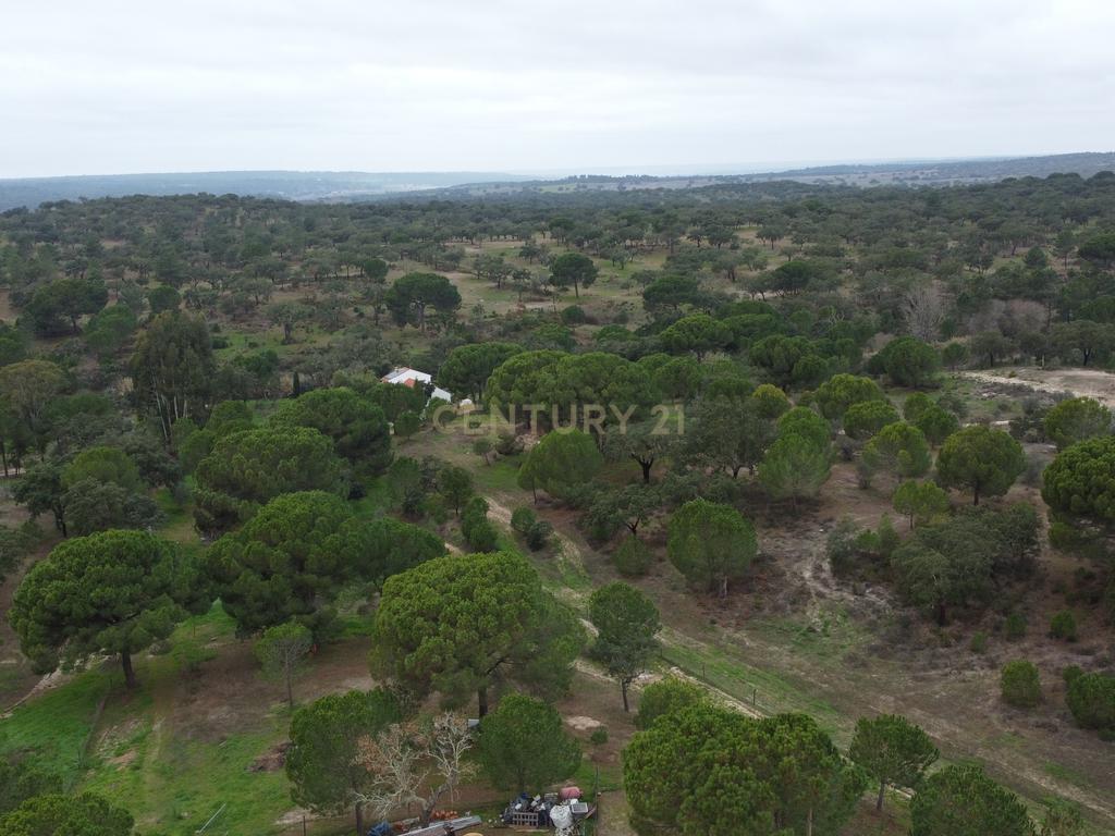 Quinta em Mora - Alentejo - Image 46