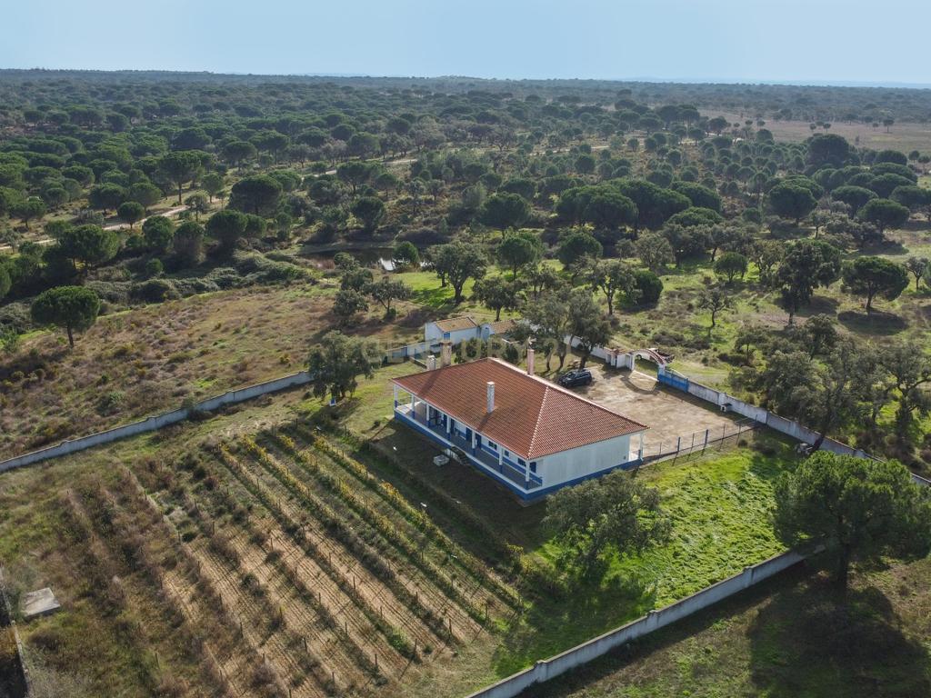 Moradia T4 em Herdade de 9,5 ha - Image 64