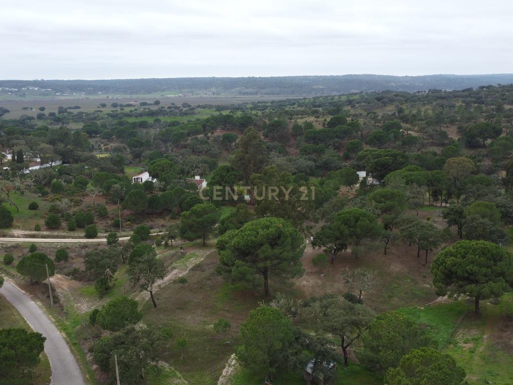 Quinta em Mora - Alentejo - Image 44